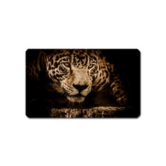 Jaguar Water Stalking Eyes Magnet (name Card) by BangZart