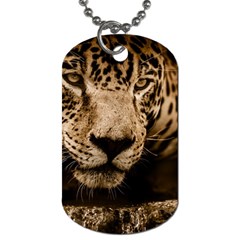 Jaguar Water Stalking Eyes Dog Tag (One Side)