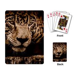 Jaguar Water Stalking Eyes Playing Card by BangZart
