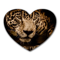 Jaguar Water Stalking Eyes Heart Mousepads by BangZart