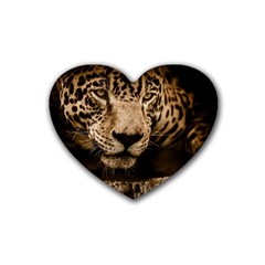 Jaguar Water Stalking Eyes Rubber Coaster (heart)  by BangZart