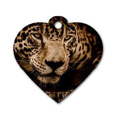 Jaguar Water Stalking Eyes Dog Tag Heart (two Sides) by BangZart