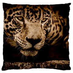 Jaguar Water Stalking Eyes Standard Flano Cushion Case (two Sides)