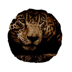 Jaguar Water Stalking Eyes Standard 15  Premium Flano Round Cushions