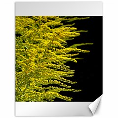 Golden Rod Gold Diamond Canvas 12  X 16   by BangZart