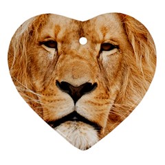 Africa African Animal Cat Close Up Ornament (heart) by BangZart