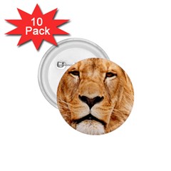 Africa African Animal Cat Close Up 1 75  Buttons (10 Pack) by BangZart