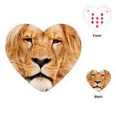 Africa African Animal Cat Close Up Playing Cards (heart)  by BangZart