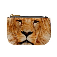 Africa African Animal Cat Close Up Mini Coin Purses by BangZart