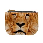 Africa African Animal Cat Close Up Mini Coin Purses Front