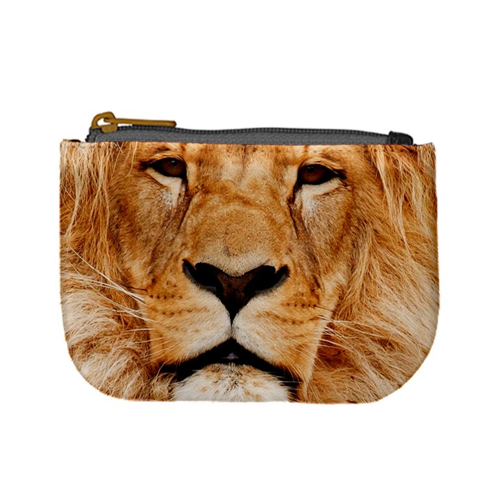 Africa African Animal Cat Close Up Mini Coin Purses