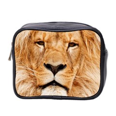 Africa African Animal Cat Close Up Mini Toiletries Bag 2-side by BangZart