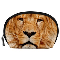 Africa African Animal Cat Close Up Accessory Pouches (large)  by BangZart