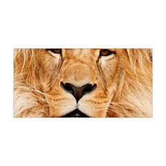 Africa African Animal Cat Close Up Yoga Headband