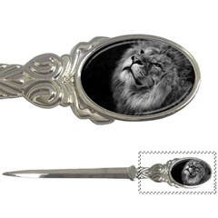 Feline Lion Tawny African Zoo Letter Openers by BangZart