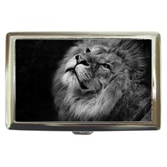 Feline Lion Tawny African Zoo Cigarette Money Cases by BangZart