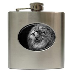 Feline Lion Tawny African Zoo Hip Flask (6 Oz) by BangZart