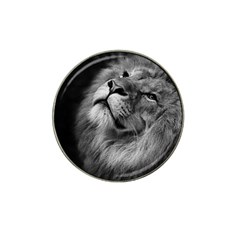 Feline Lion Tawny African Zoo Hat Clip Ball Marker (10 Pack) by BangZart