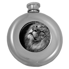 Feline Lion Tawny African Zoo Round Hip Flask (5 Oz) by BangZart