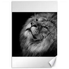 Feline Lion Tawny African Zoo Canvas 12  X 18   by BangZart