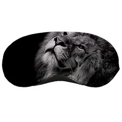 Feline Lion Tawny African Zoo Sleeping Masks by BangZart