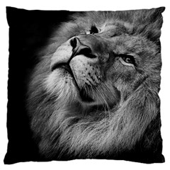 Feline Lion Tawny African Zoo Large Cushion Case (two Sides) by BangZart