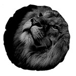 Feline Lion Tawny African Zoo Large 18  Premium Round Cushions Front