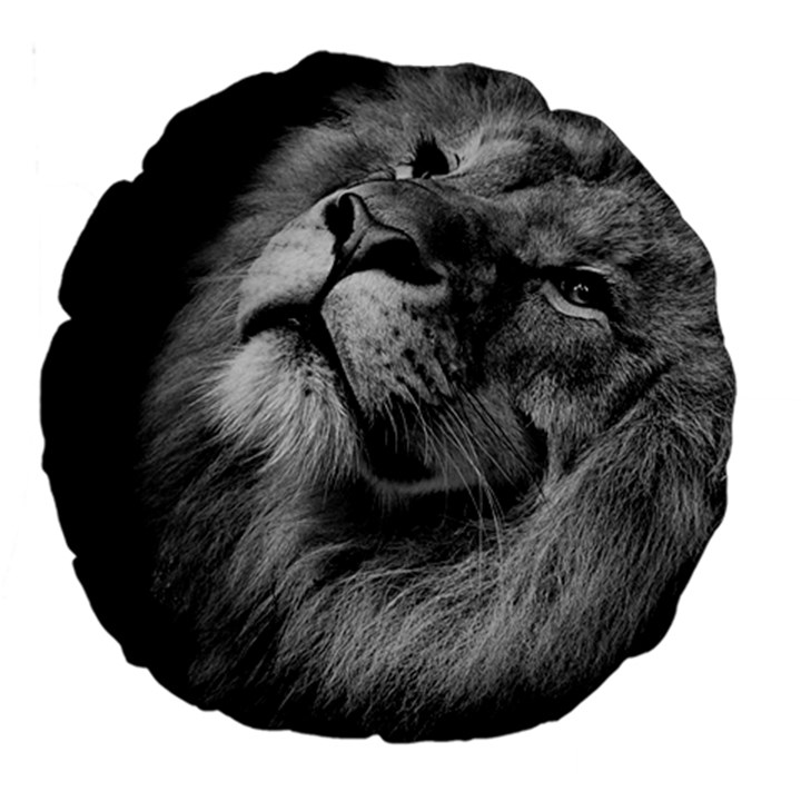 Feline Lion Tawny African Zoo Large 18  Premium Round Cushions