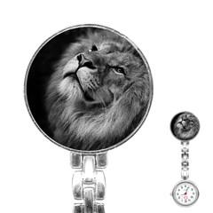 Feline Lion Tawny African Zoo Stainless Steel Nurses Watch