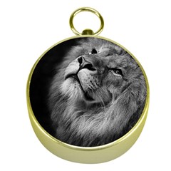 Feline Lion Tawny African Zoo Gold Compasses