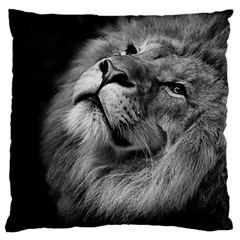 Feline Lion Tawny African Zoo Large Flano Cushion Case (two Sides)