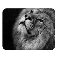 Feline Lion Tawny African Zoo Double Sided Flano Blanket (large)  by BangZart