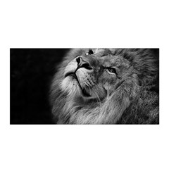 Feline Lion Tawny African Zoo Satin Wrap