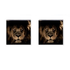 African Lion Mane Close Eyes Cufflinks (square) by BangZart