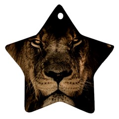 African Lion Mane Close Eyes Star Ornament (two Sides) by BangZart