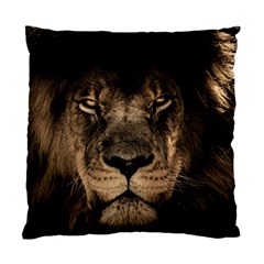 African Lion Mane Close Eyes Standard Cushion Case (two Sides) by BangZart