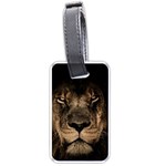 African Lion Mane Close Eyes Luggage Tags (One Side)  Front