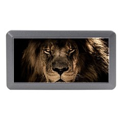 African Lion Mane Close Eyes Memory Card Reader (mini) by BangZart