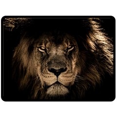 African Lion Mane Close Eyes Double Sided Fleece Blanket (large) 