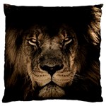 African Lion Mane Close Eyes Large Flano Cushion Case (One Side) Front