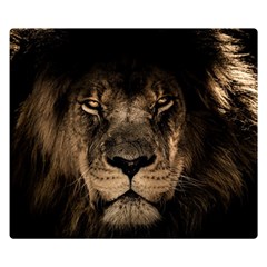 African Lion Mane Close Eyes Double Sided Flano Blanket (small) 