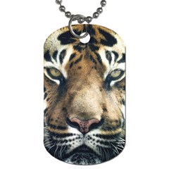 Tiger Bengal Stripes Eyes Close Dog Tag (one Side)