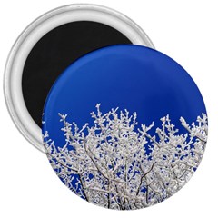 Crown Aesthetic Branches Hoarfrost 3  Magnets by BangZart