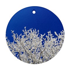 Crown Aesthetic Branches Hoarfrost Ornament (round) by BangZart