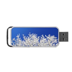 Crown Aesthetic Branches Hoarfrost Portable Usb Flash (two Sides) by BangZart