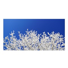 Crown Aesthetic Branches Hoarfrost Satin Shawl