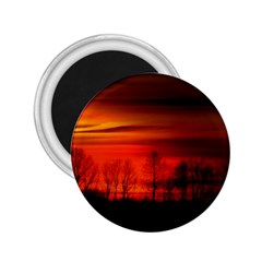 Tree Series Sun Orange Sunset 2 25  Magnets by BangZart