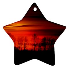 Tree Series Sun Orange Sunset Star Ornament (two Sides) by BangZart
