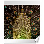 Peacock Feathers Wheel Plumage Canvas 8  x 10  8.15 x9.66  Canvas - 1