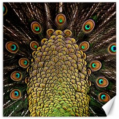 Peacock Feathers Wheel Plumage Canvas 12  X 12   by BangZart